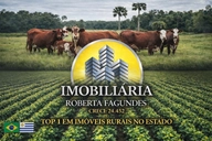 Imobiliária Roberta Fagundes - SEMEANDO E COLHENDO FRUTOS